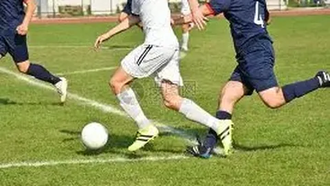 山水画卷中的支柱产业塑造之道